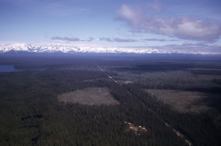 Forest Hiway Yakutat