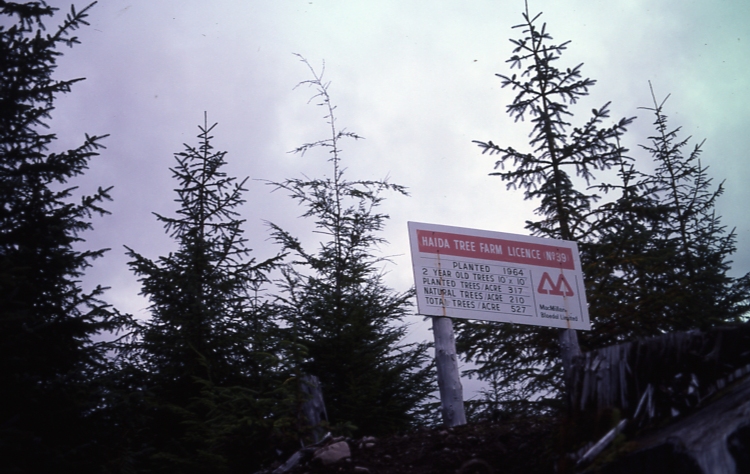 QCI 10/5/76 plantation TFL 39 McMillan Bloedel planted SS 1964