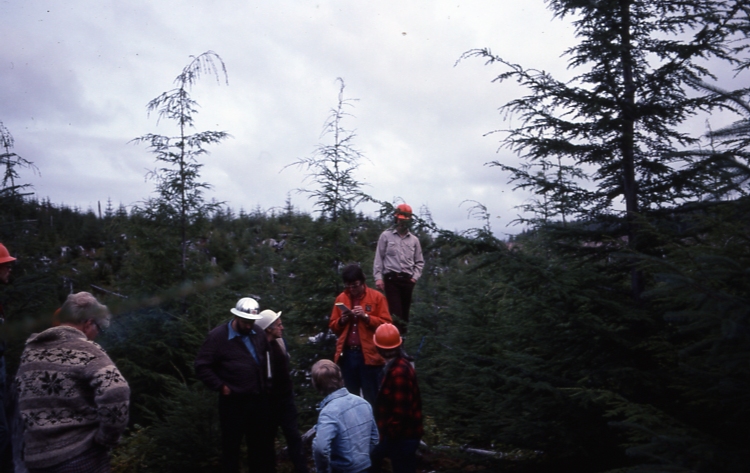 QCI 10/5/76 plantation TFL 39