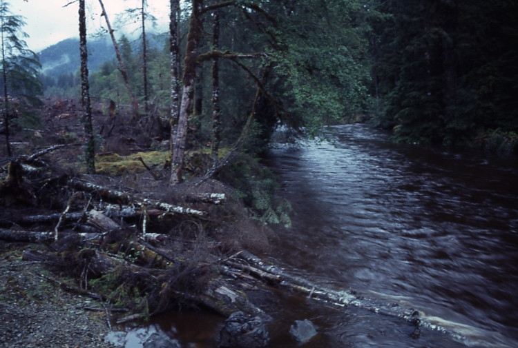 QCI 10/6/76 riley creek Rennell sound