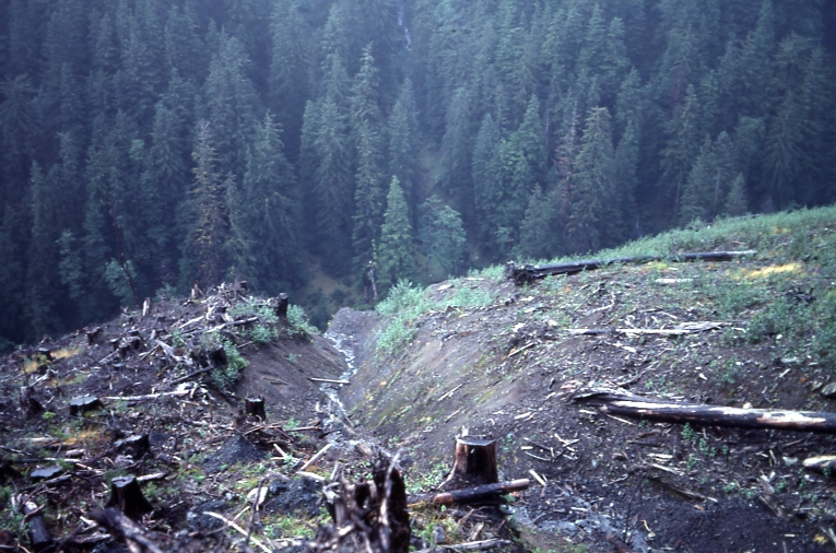 QCI 10/6/76 Rennell sound slope failure