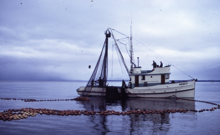 Salmon purse seiner taking in seine Icy Straits
