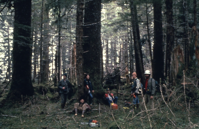 Mature stand @ Icy Bay 1982