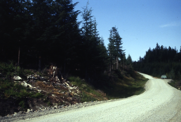Salamander lake 65 6/92; Salamander lake
