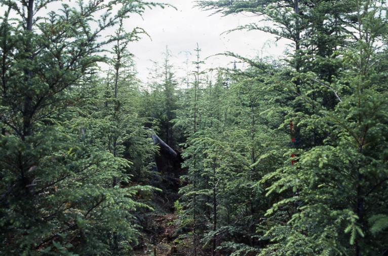 Plot 245 2-3; Totem bay