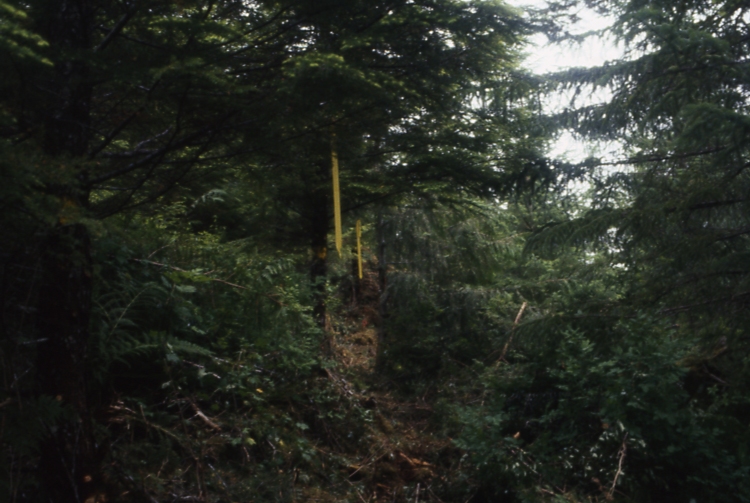 Salamander lake 63-415 3 -4 7/91; Salamander lake