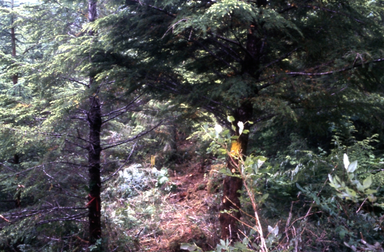 Salamander lake 63-415 4-3 7/91; Salamander lake