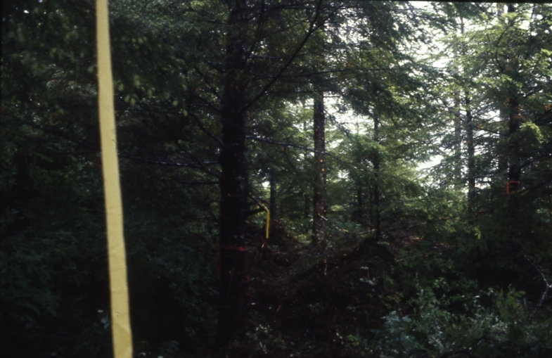 Salamander lake 65 2-1 7/91; Salamander lake