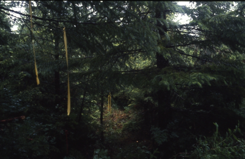 Salamander lake 65 4-3 7/91; Salamander lake