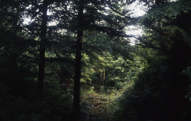 Salamander lake 65 3-4 7/91; Salamander lake