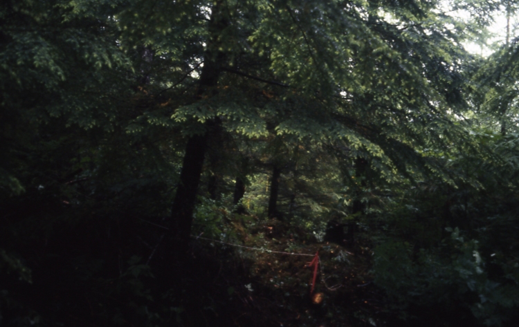 Salamander lake 65 2-1 7/91; Salamander lake