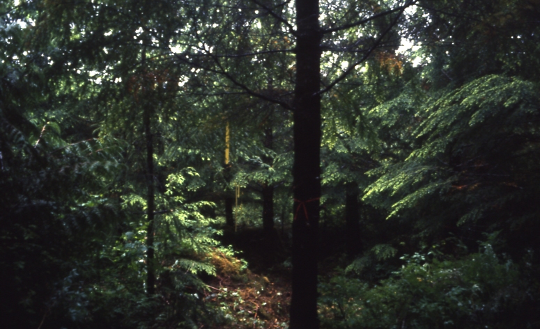 Salamander lake 65 4-1 7/91; Salamander lake