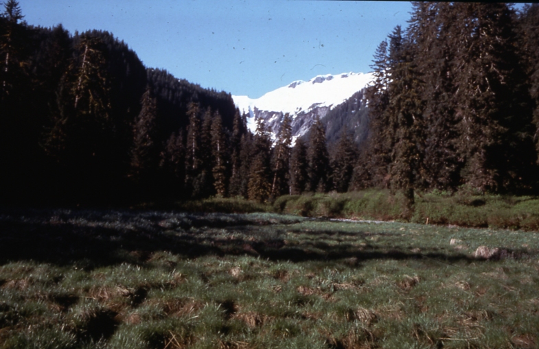 tidal flat port Camden 5/18/77 tidal flat port Camden 5/18/77