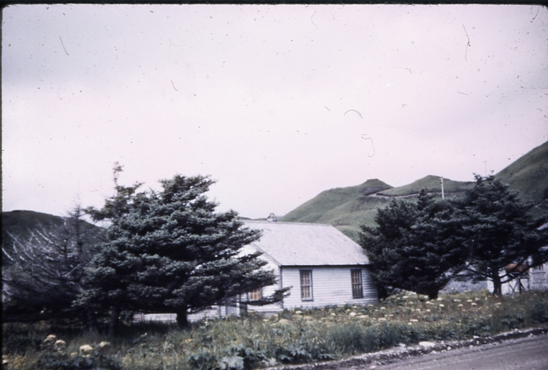 UnAlaska spruce 8/75; Aleutians tree planting project