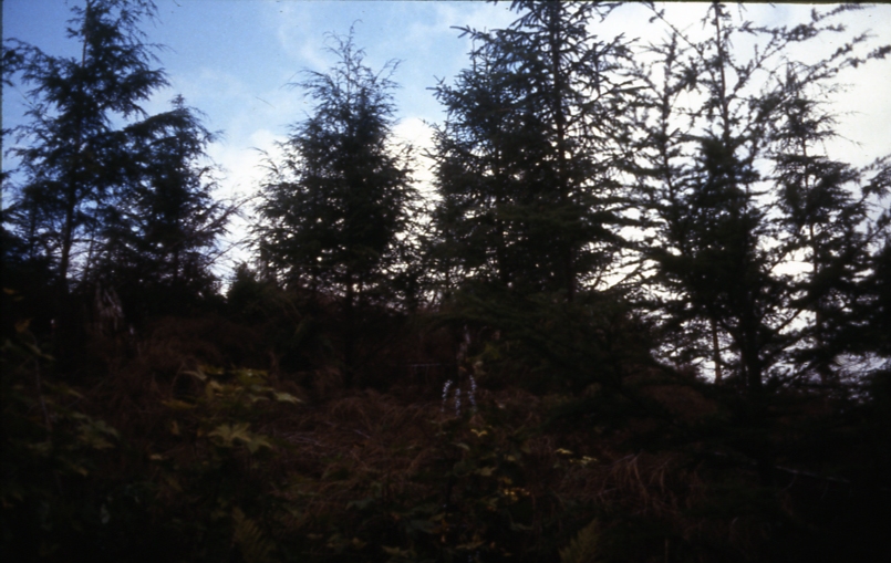 Cave Creek plot 222 1-45deg; Cave creek Cave Creek plot 222 1-45deg; Cave creek