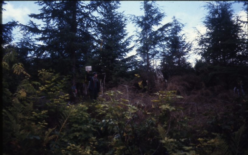 Cave Creek plot 222 1-2; Cave creek Cave Creek plot 222 1-2; Cave creek