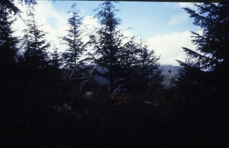 Cave Creek plot 222 2-45deg; Cave creek Cave Creek plot 222 2-45deg; Cave creek