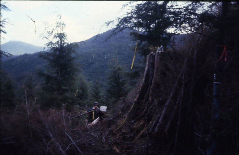 Cave Creek plot 222 3-4; Cave creek Cave Creek plot 222 3-4; Cave creek