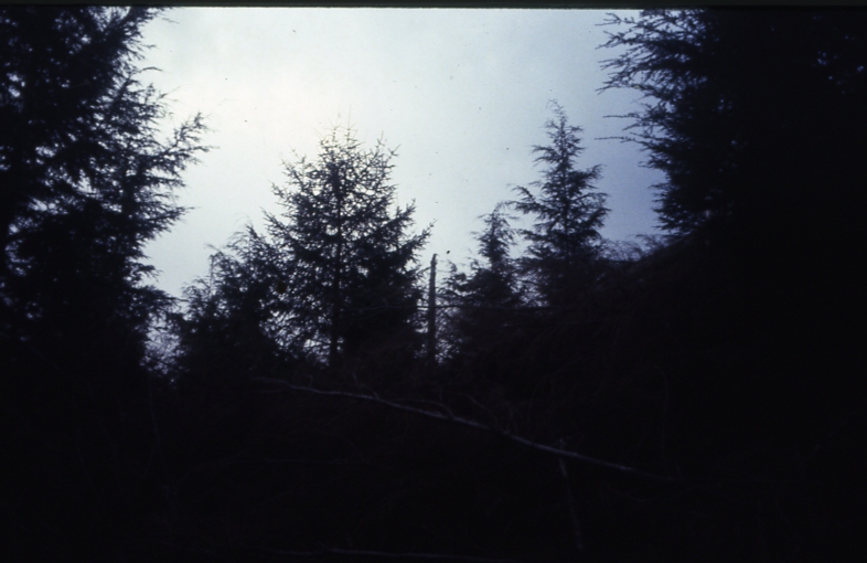 Cave Creek plot 222 4-45deg; Cave creek Cave Creek plot 222 4-45deg; Cave creek