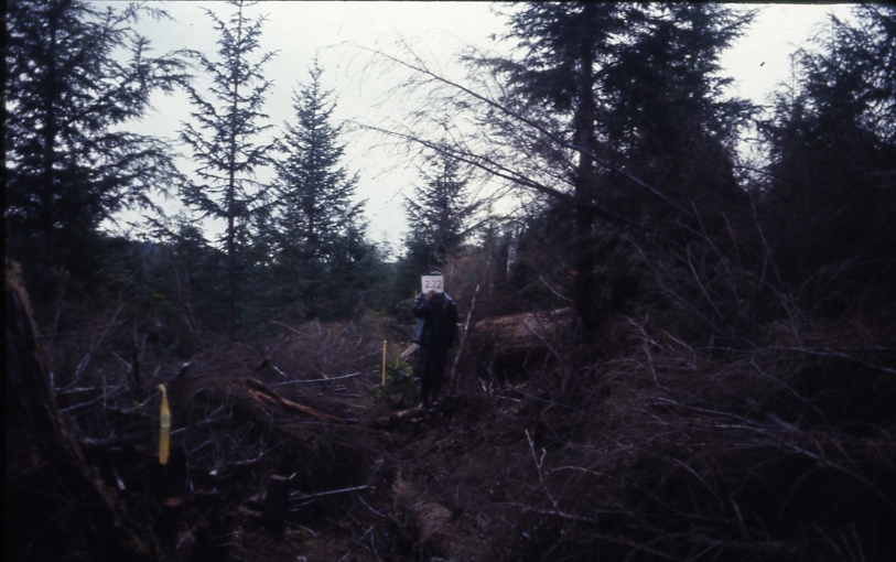 Cave Creek plot 222 4-1; Cave creek Cave Creek plot 222 4-1; Cave creek