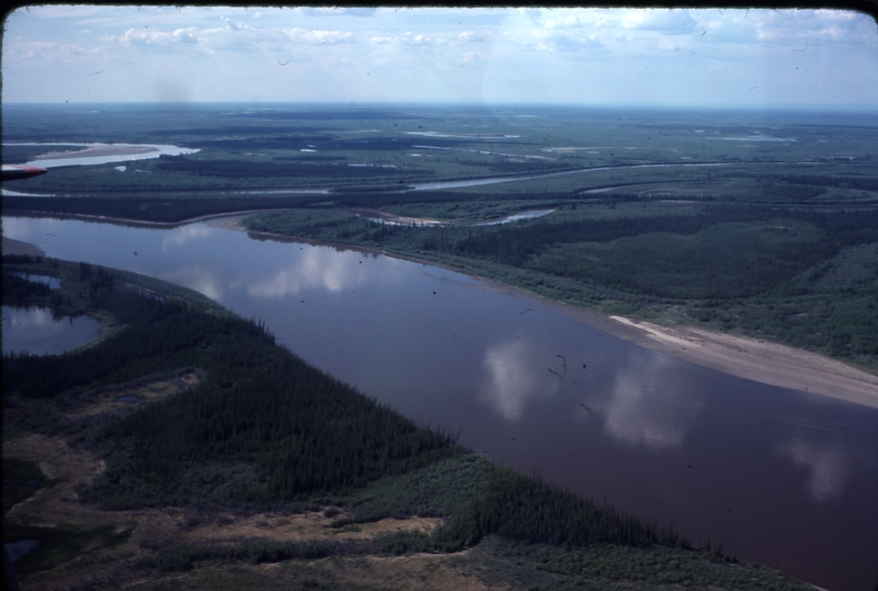 Porcupine river just west of where the Sheenjek river enters the porcupine
