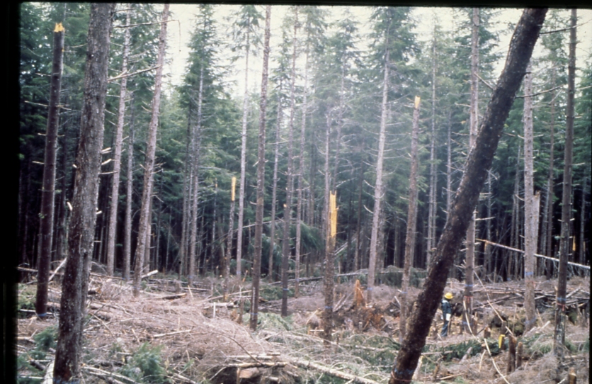 Saginaw bay plot 233 3-4 5/79; Saginaw bay