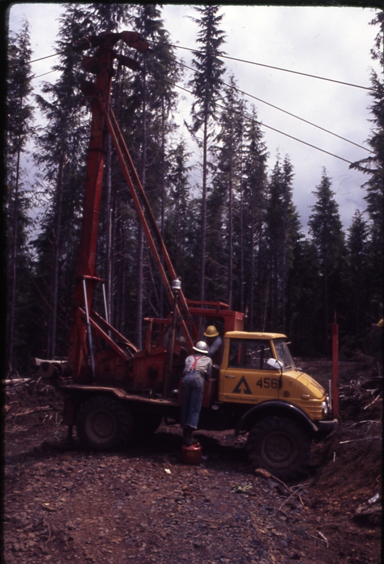 Commercial thinning Douglas fir