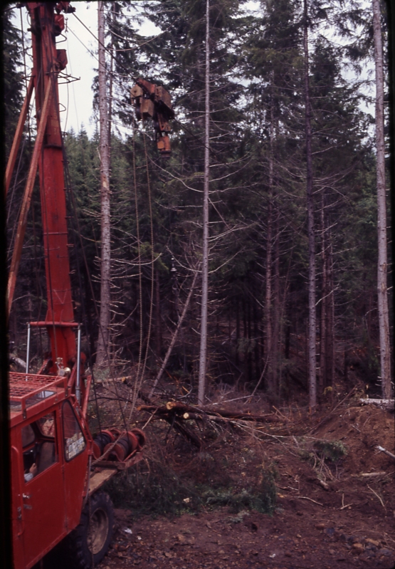 Commercial thinning Douglas fir