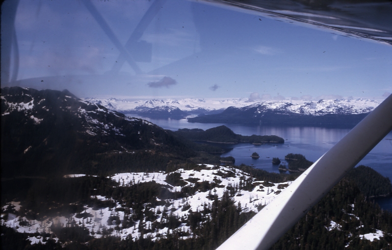 Looking south from little herring bay knight island prince William sound