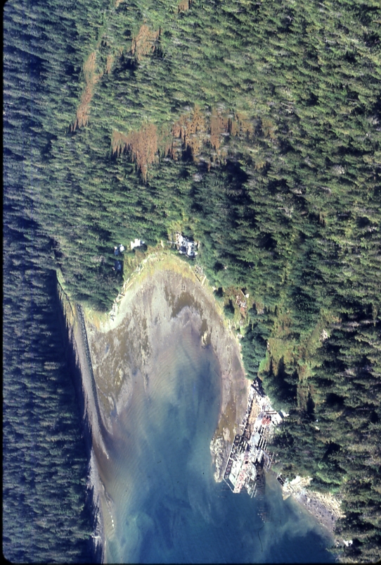 Cannery Site Hidden Cove 1978; Slocum arm