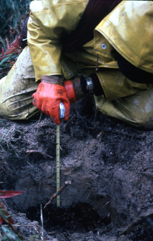 Soil pit near seedling Afognak south #47 Raspberry strait sept 12 1980