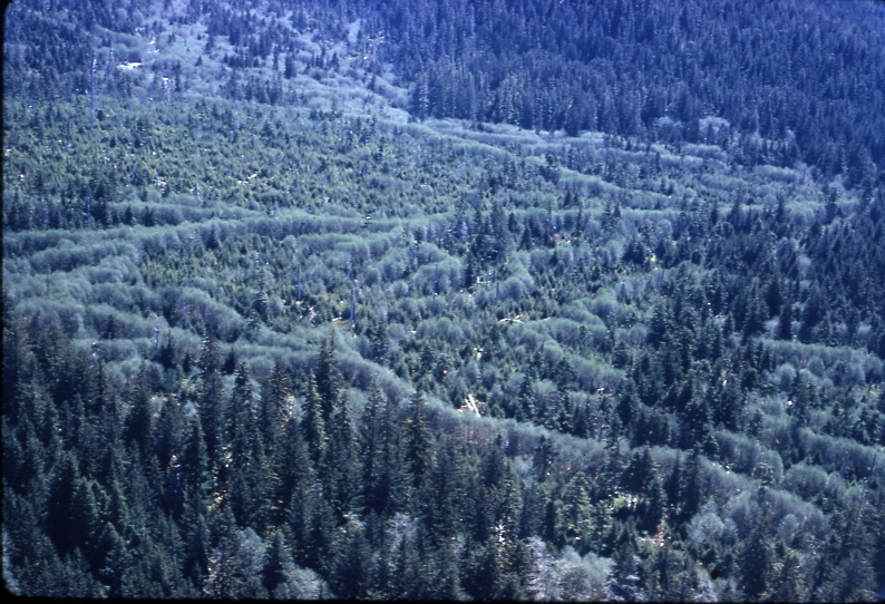 Eliza harbor east stream 5/29/74