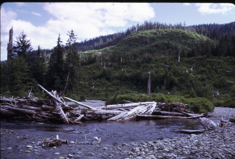 Maybeso from near cottonwood planting spur 210 7/15/73 Maybeso from near cottonwood planting spur 210 7/15/73