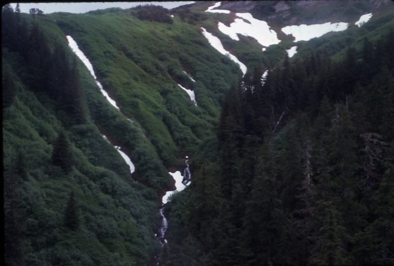 Game Creek 1979