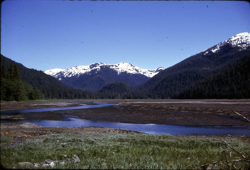 Limestone Inlet Research Natural Area