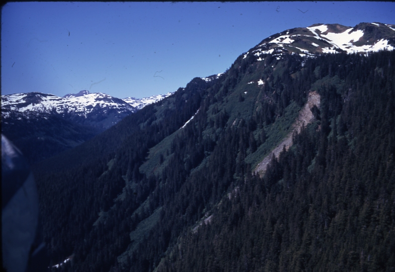 Pack Creek Research Natural Area; Pack creek