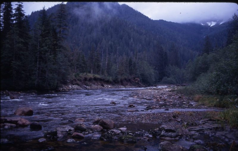 Red river above gorge