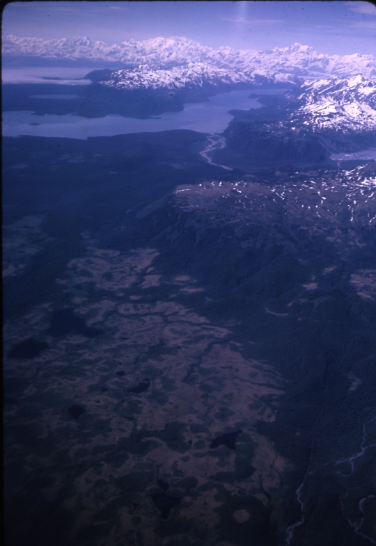 Yakutat Muskeg containing LP July 8 1965