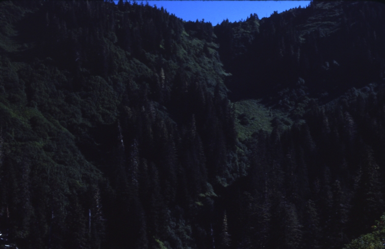 Top of landing Rio beaver