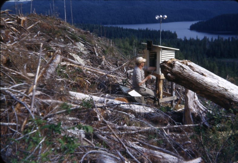 Looking SE to clear cut weather shelter with GA James making observations 7/14/54