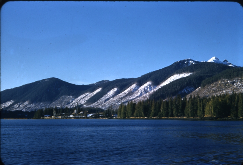 General view of Maybeso clearcut from 12 mile arm 3/1/57