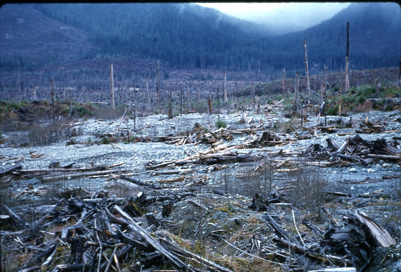 120 road washout Maybeso valley 61