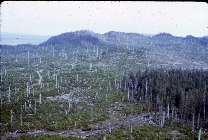 Kosciusko Is