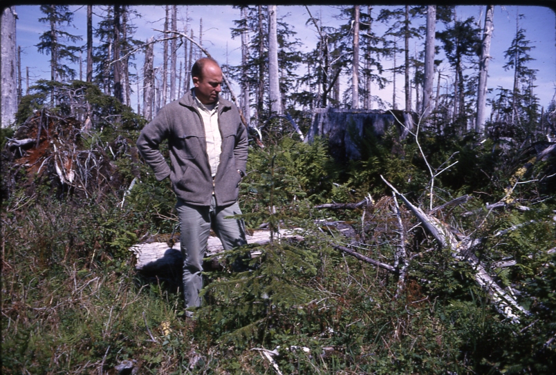 Al O'Dell col Lmbr cutting Yakutat #1 July 8 1965 Al O'Dell col Lmbr cutting Yakutat #1 July 8 1965