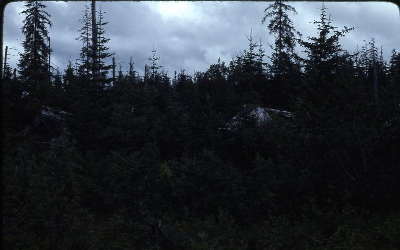 Yakutat #1 sale area July 1976