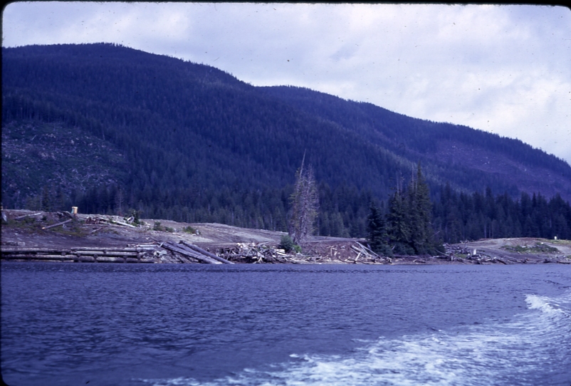 former camp site hollis Maybeso 7/17/62