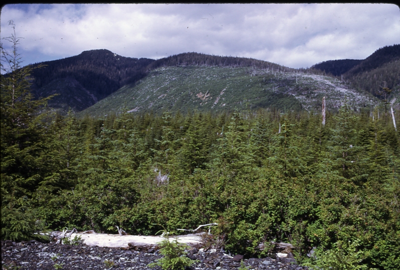 Maybeso valley from 200 road 7/15/73