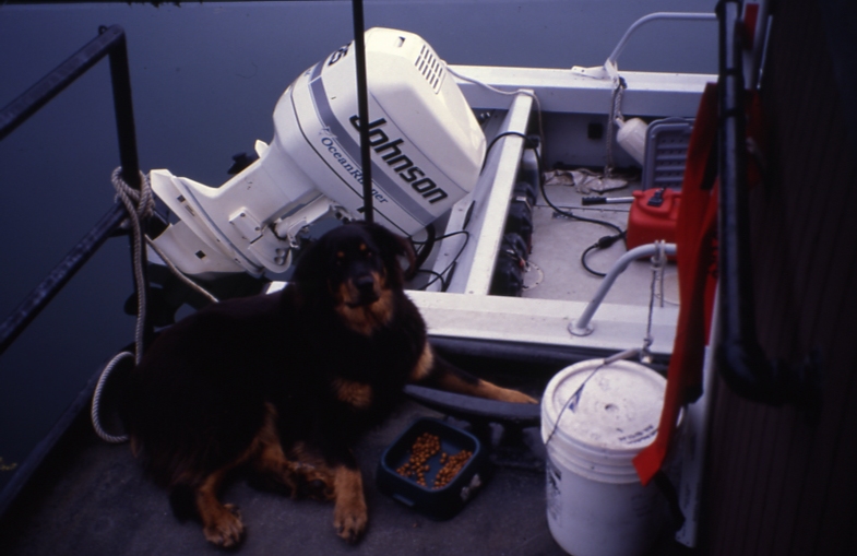 Dog named seisa on wanigan; Piledriver cr