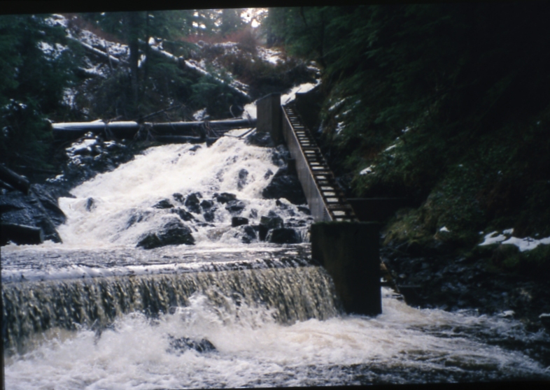 Suntaheen fish ladder; Suntaheen cr