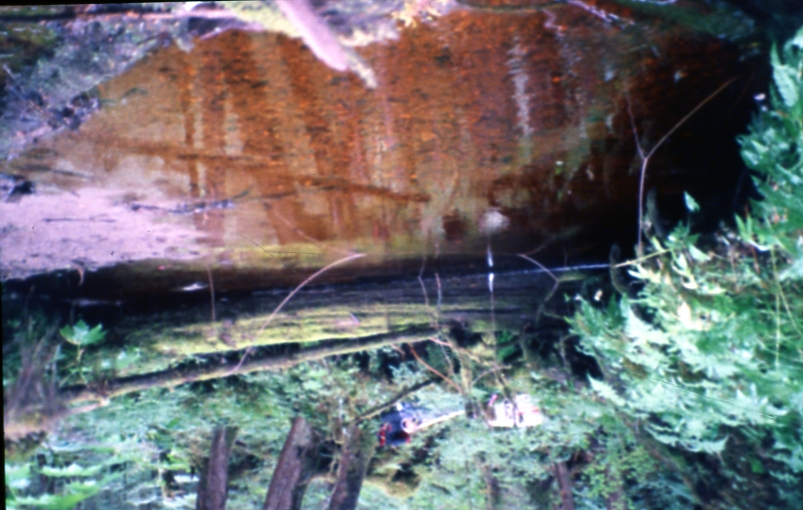 Pool 1 ; Painted cr drainage, falls cr